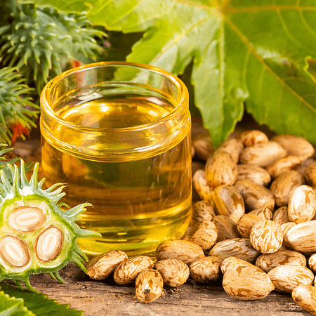 Cold pressed Castor Oil-500 ml: Bull-driven  in a wooden mill