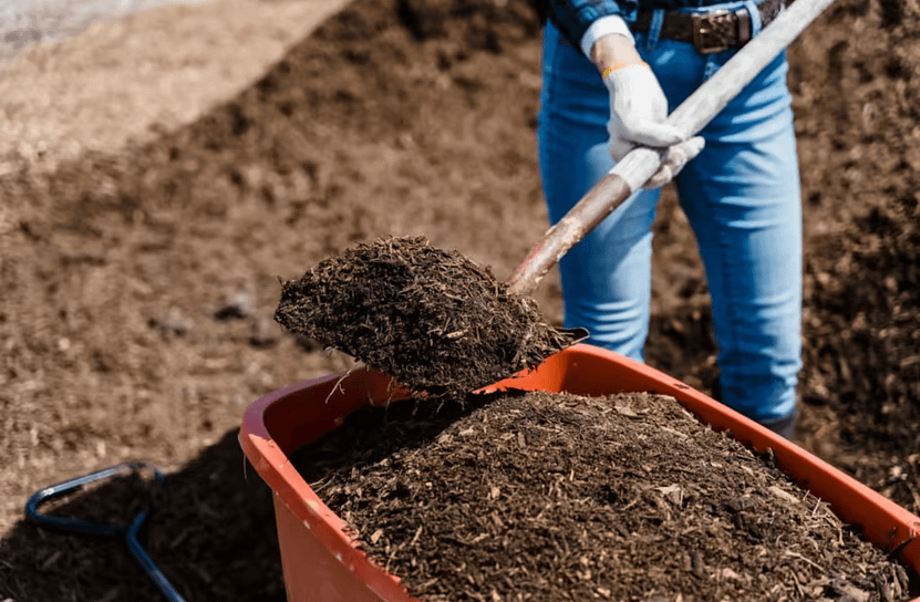 Compost